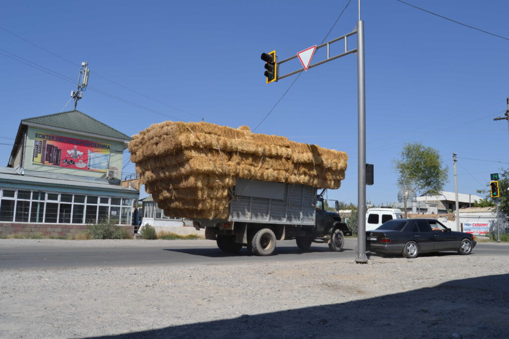straw stacked in a truck in Kazakhstan
